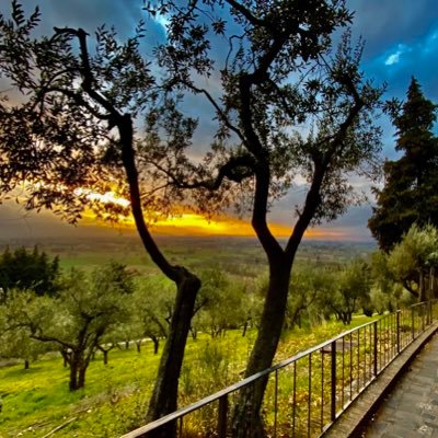 Oleg38404481's profile picture. La Fotografia è una cosa stupenda è una pubblicità di vita dell’Italia. E dei nostri Paesi. Anche la cronaca e la Politica. Fanno parte della fotografia