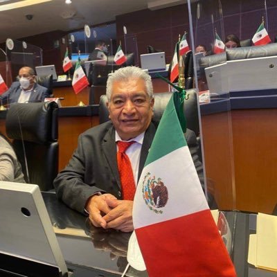 Mexicano académico y político afiliado al Movimiento de Regeneración Nacional.
