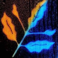 enkigurFB (@enkigurfb) Twitter profile photo