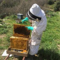 Vic (@fihatetu) 's Twitter Profile