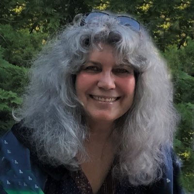 sleeperina's profile picture. Award-winning author of My Famous Brain, Gillyflower, and The Warhol Pillows. The Bayrose Files forthcoming from @RegalHouse1.