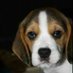 Melanie Bentley (@melbentley74) Twitter profile photo Melanie Bentley (@melbentley74) Twitter profile photo