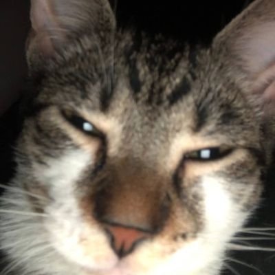 SpotupM's profile picture. cod fan