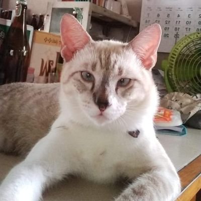 isamisme's profile picture. Just feel ทุกคนมีความรู้สึก