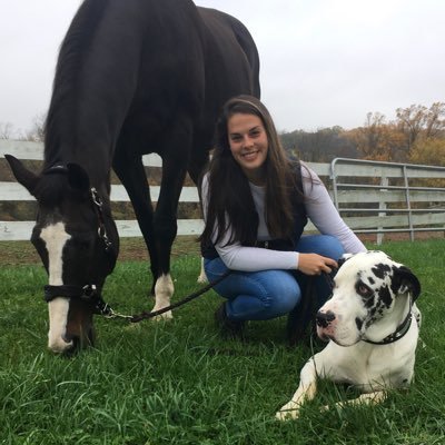 ajordan33's profile picture. 