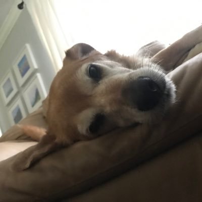 aidancusa's profile picture. MHS’22 | 4478D