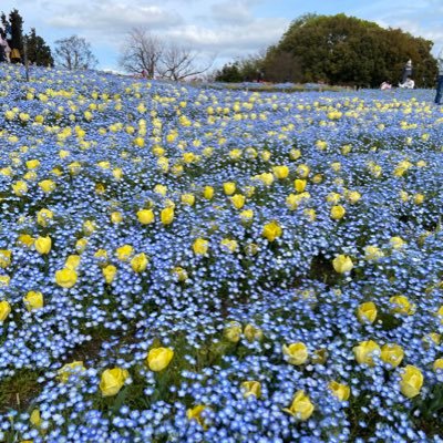 さらば青春の光と見取り図、新喜劇が好きです！