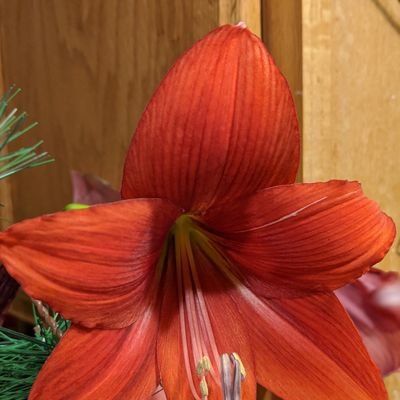 Kim85964640's profile picture. 