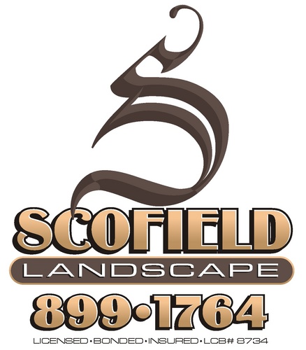 Scofield Landscape