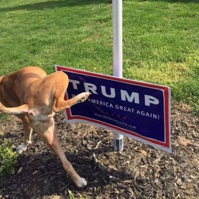 Racist and sexist Donald Trump supporters are all around us in Chico, CA. This is a place to gather, discuss and try to figure out how to deal with them....