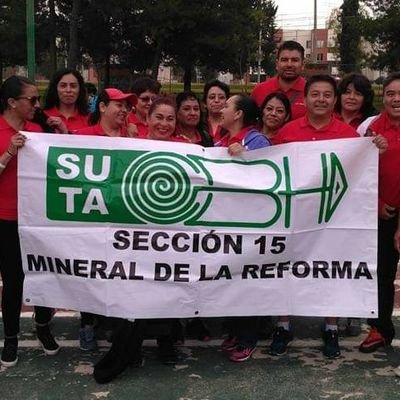 15Seccion's profile picture. 