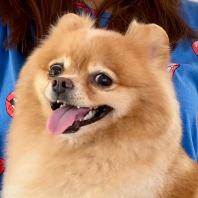 andripribadi's profile picture. Learn, Post, Retweet, and Share Good Things from Others