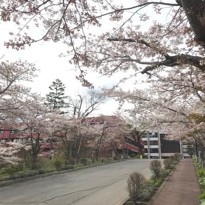 コロナ禍の中でも、もっと小樽商科大学生同士の交流を活性化させたいという想いから、週一回程度のオンライン交流会を開催します!(状況が良くなればオフラインでも開催予定)友達を作りたい方は是非ご参加ください!参加希望者はDMかLINE@でご連絡ください! https://t.co/hCqSqM56Vp