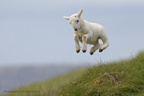 Andy_T_Chisholm's profile picture. Advertising by day. Music by night.