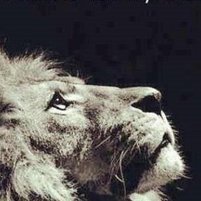 prophets_prayer's profile picture. Prophet's Prayer Ministry shares anointed words from the Lord! PLEASE subscribe to my YouTube channel below, YT removed subs and videos! Justice coming!