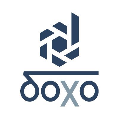 Doxo Consulting Profile
