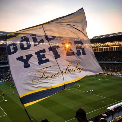 Sahip olduğum tek şey Fenerbahçe sevgisi 💛💙