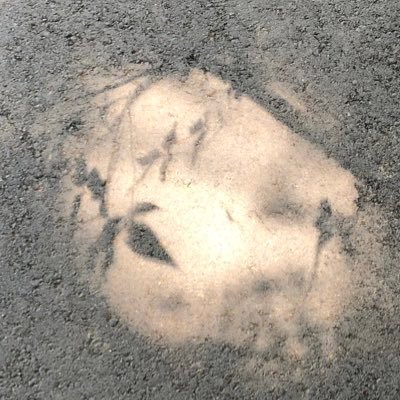 Twitter始めました。 時々呟いています。