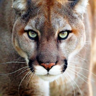 colorfulfun2's profile picture. Traveling adventurer and collect bright, good moments