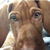 Rachel Westacott (@racheljw25) 's Twitter Profile