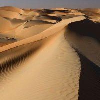 محمد (@mhamad6105) 's Twitter Profile