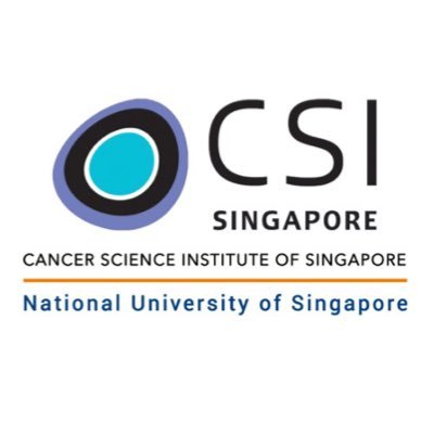 The official account for CSI Singapore. Follow us for updates on the institute's research outputs, event announcements and more!
