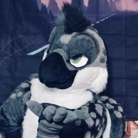 Spicy Mountain Birb @MFF (@bboyflitchad) 's Twitter Profile Photo Spicy Mountain Birb @MFF (@bboyflitchad) 's Twitter Profile Photo