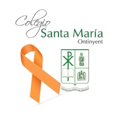 Col·legi Santa Maria Ontinyent (Infantil, Primària i ESO) Eduquem, innovem, fomentem la creativitat i treballem per la igualtat. Centre examinador Cambridge.
