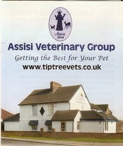 TiptreeVC's profile picture. 