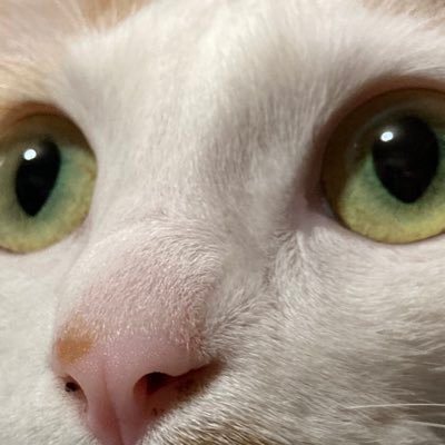 candy383845's profile picture. USJ/snowman/sixtones