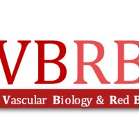 Team Vascular Biology and Red Blood Cells (@teamvbrbc) 's Twitter Profile