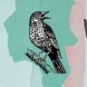 wellyeco's profile picture. A CIC with a large membership, to improve our environment, to reduce/reuse/repair/recycle items that would end up in landfill & to help lower carbon footprints.