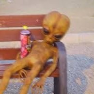 Stephan25717419's profile picture. 