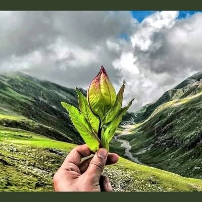 Proud INDIAN 🇮🇳
I am proud to belong to a religion which has taught the world TOLERANCE AND UNIVERSAL ACCEPTANCE🙏🙏-Swami Vivekananda