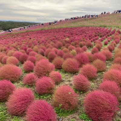 テニス サッカー お笑い ドラマ 神社仏閣お城巡り 歴史 映画 音楽 料理 お酒 投資 経済 名言 人生哲学 心屋仁之助 アドラー心理学 江原啓之スピリチュアリズム 都市伝説 日本神話 などに興味あり