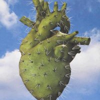 Nopalzin (@myheavynopal) 's Twitter Profile