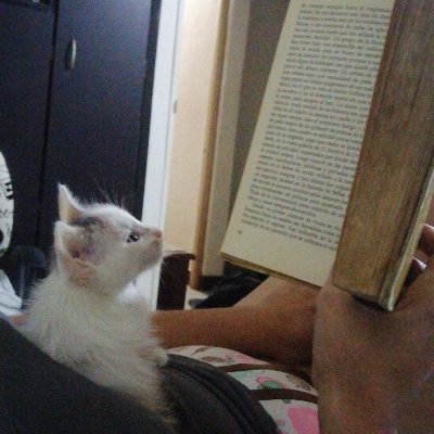 Amante de los gatos, bailar, reír