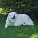 Mike Griffith - @mmkbigdogs - Twitter