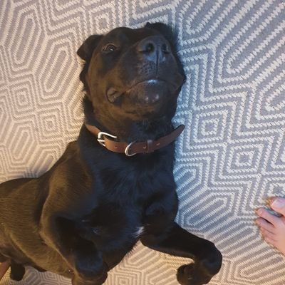 Meru_oh's profile picture. 