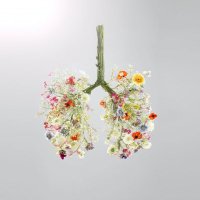 UHNM LUNG CANCER NURSES(@LungUhnm) 's Twitter Profile Photo