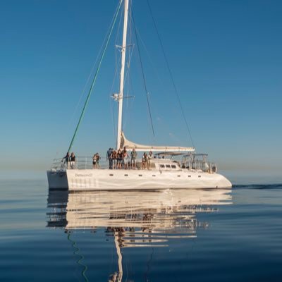 Catlanza is a dynamic sailing company, run by Roisin Mc Sorley and Wes Lunday. Well known for their day trips and sunset cruises. And bespoke Private Charters.