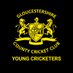 Gloucestershire Young Cricketers 🏏 (@GlosYCricketers) Twitter profile photo