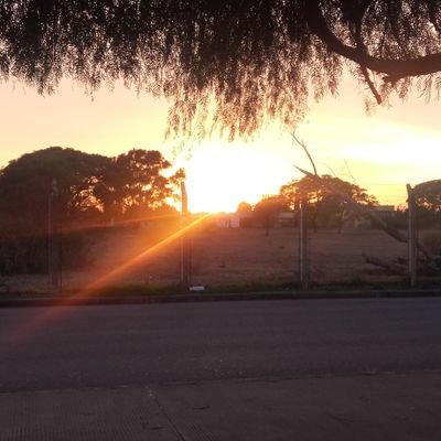 AlbertoMontaaC1's profile picture. 