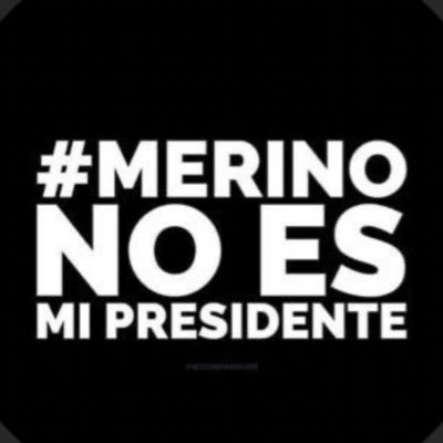 carrizodeica's profile picture. books 📚 & magazines