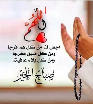 Maya20263118519's profile picture. "hay que correr, bailar, disfrutar y reír. No te tomes la vida tan en serio... Al final nadie sale vivo de ella".