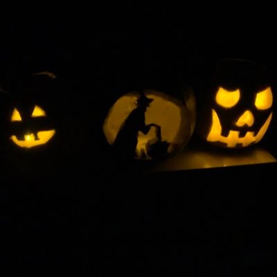 wilsonrogers19's profile picture.