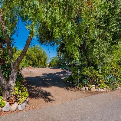 KellyMorganSOLD's profile picture. 