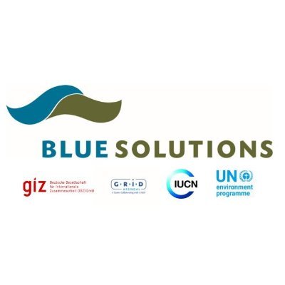 _BlueSolutions's profile picture. We strive for healthy oceans for sustainable development. Global project implemented by GIZ, GRID-Arendal, IUCN and UNEP, funded by BMU.