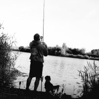 madcarper (@carpden35) 's Twitter Profile
