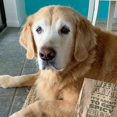 It's QUESO from @TheGoldenRatio4. Previously served at the Golden Ratio Backup account!